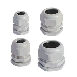 PG plastic gland